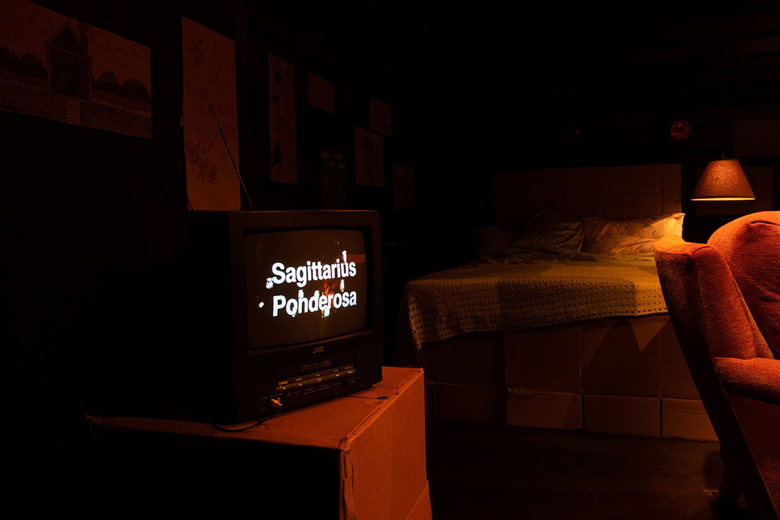 Sagittarius Ponderosa 8